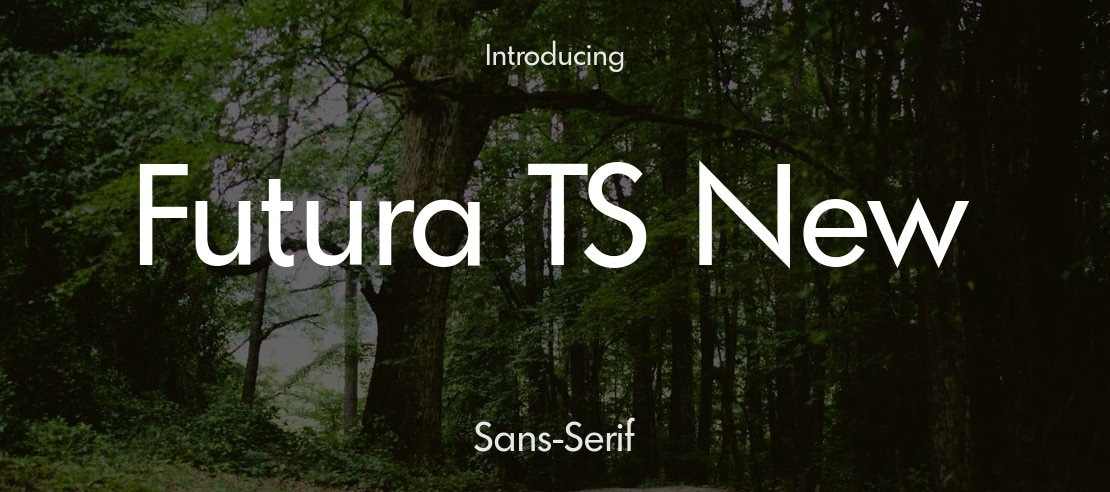 Futura TS New Font Family