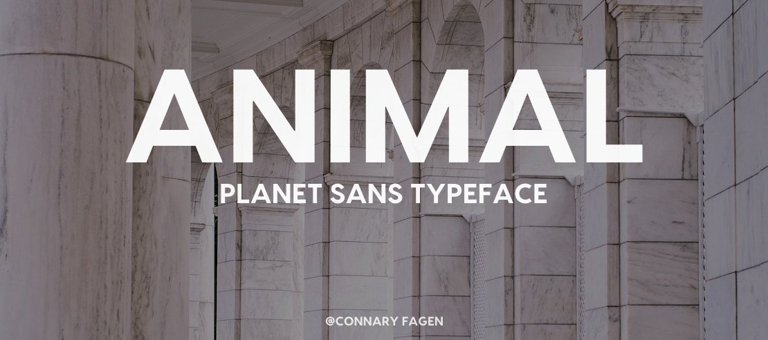 Animal Planet Sans Font