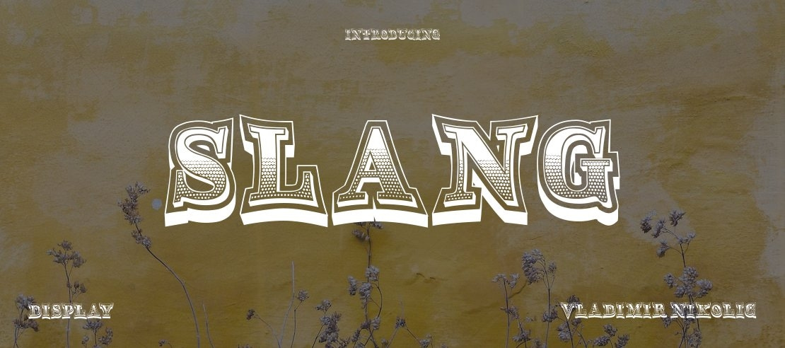 Slang Font