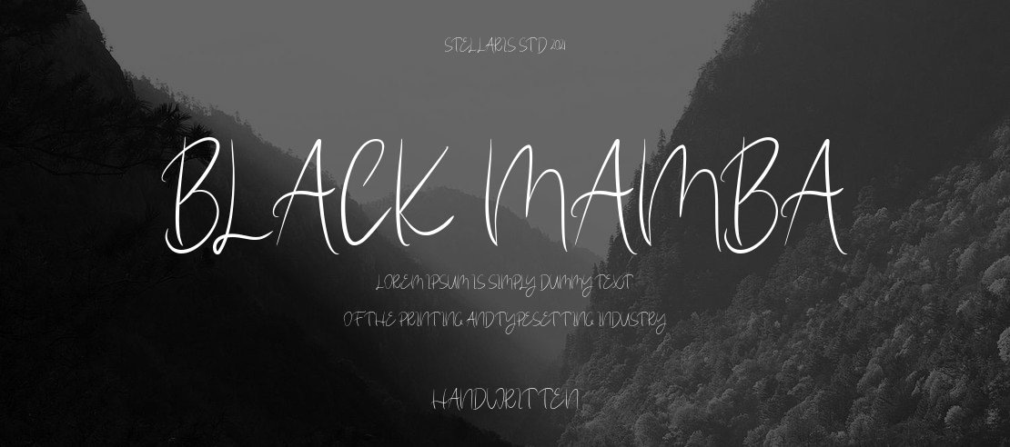 black mamba Font