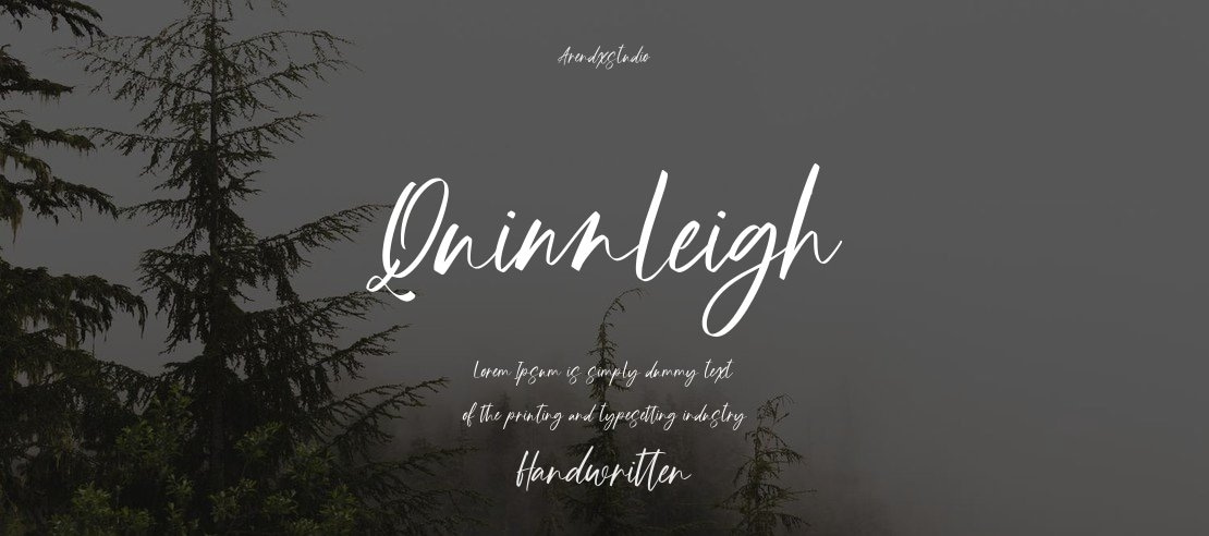 Quinnleigh Font