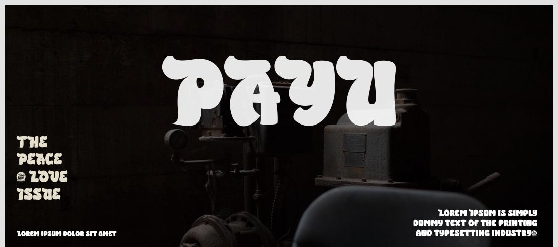 PAYU Font