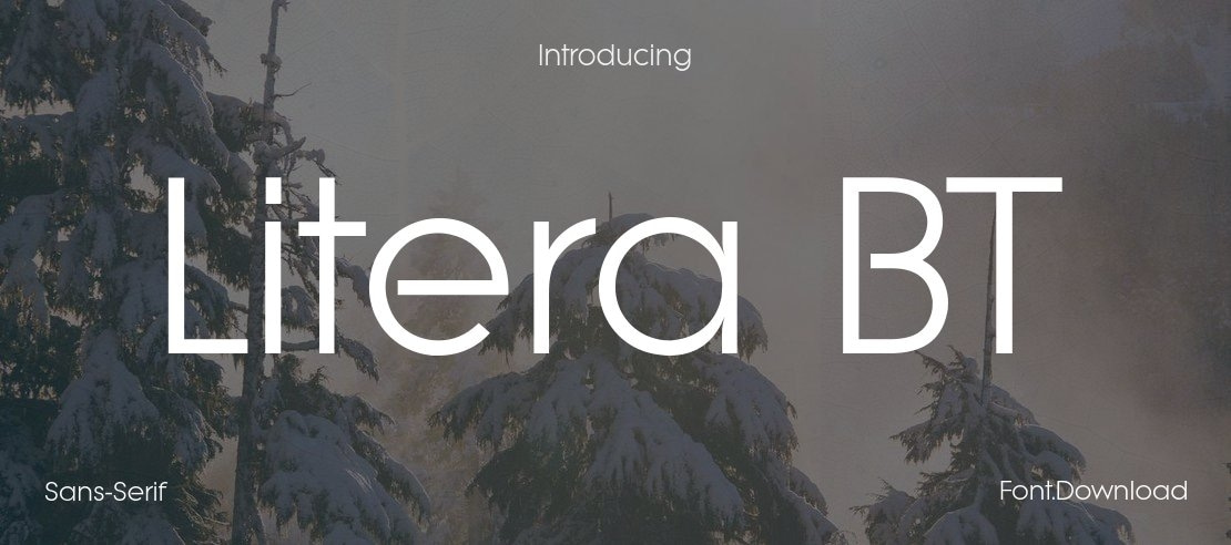 Litera BT Font