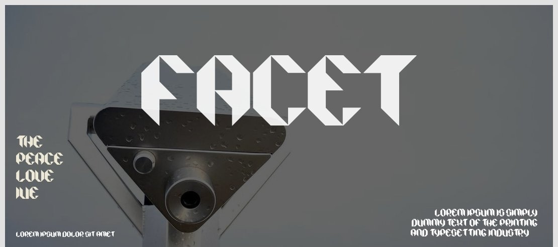 Facet Font Family