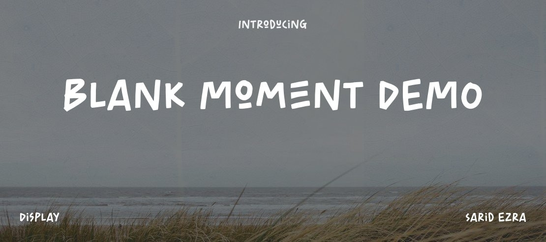 Blank Moment DEMO Font