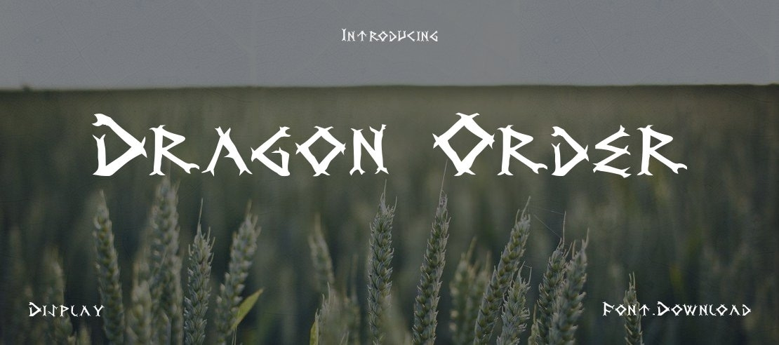 Dragon Order Font Family