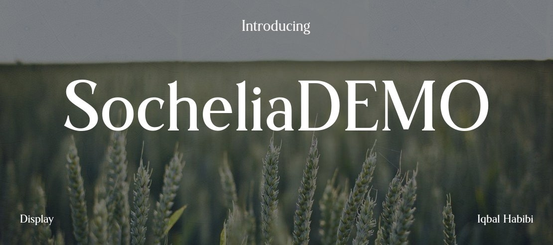 SocheliaDEMO Font