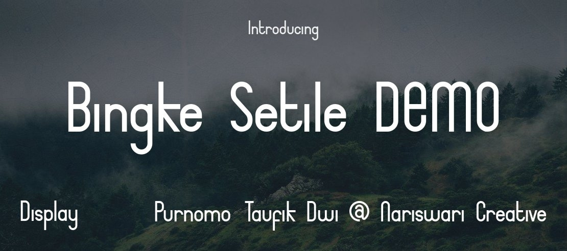 Bingke Setile DEMO Font Family