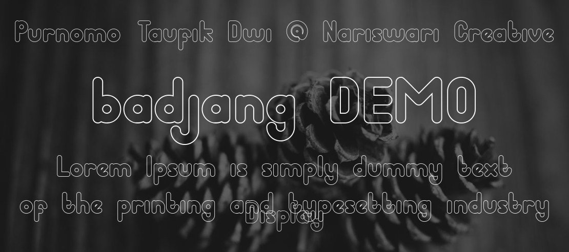 badjang DEMO Font