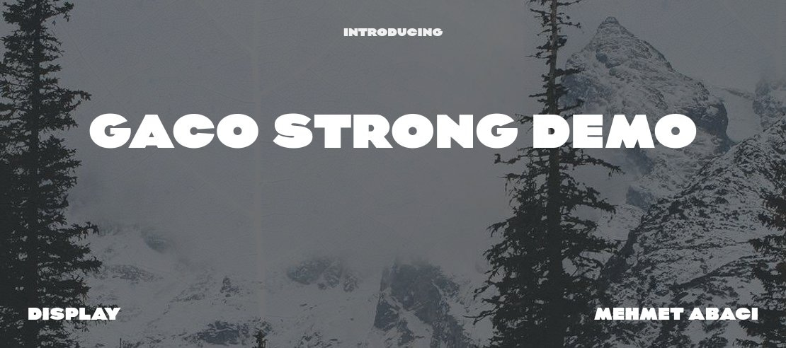 Gaco Strong Demo Font