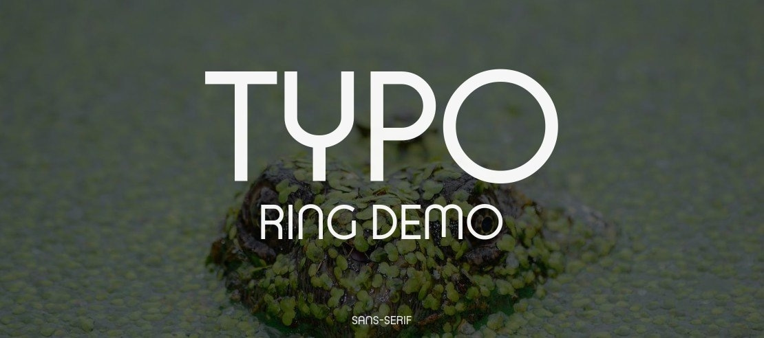 Typo Ring Demo Font Family