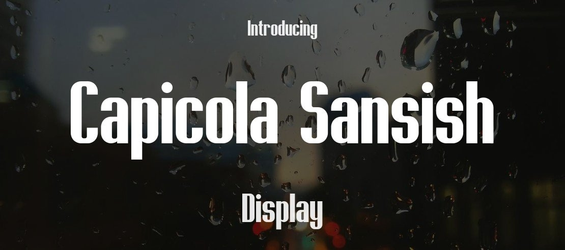 Capicola Sansish Font Family