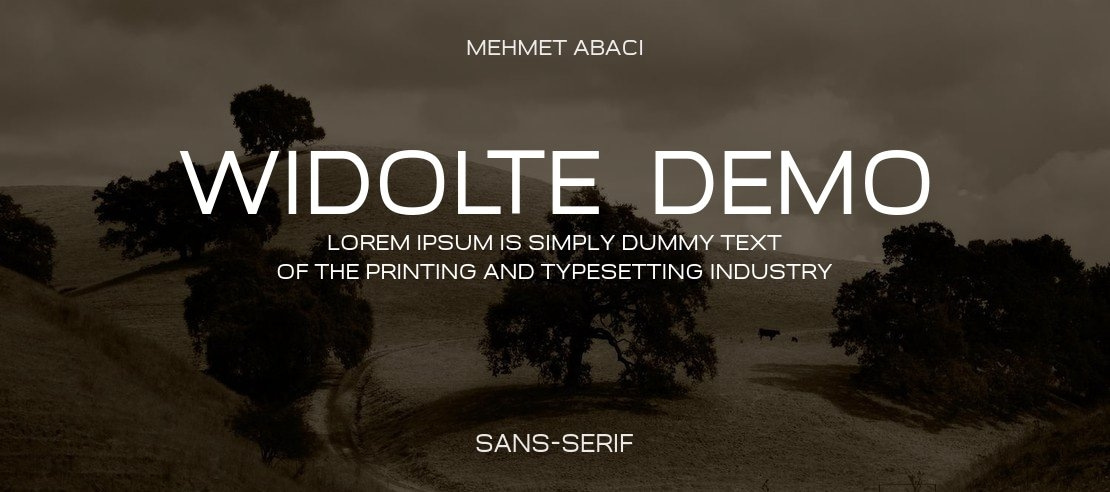 Widolte  Demo Font Family