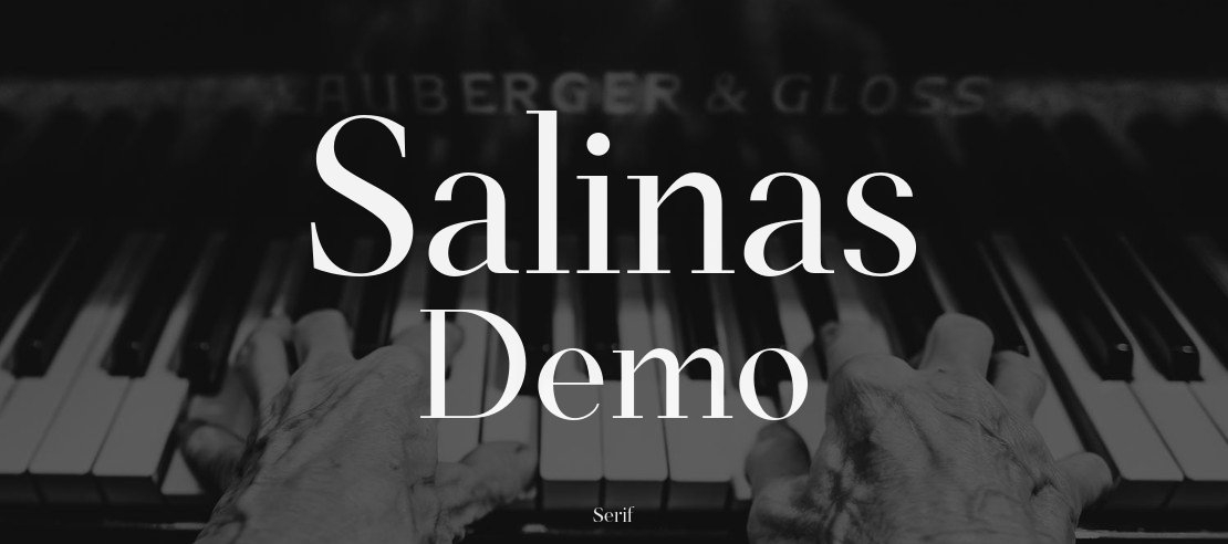 Salinas Demo Font