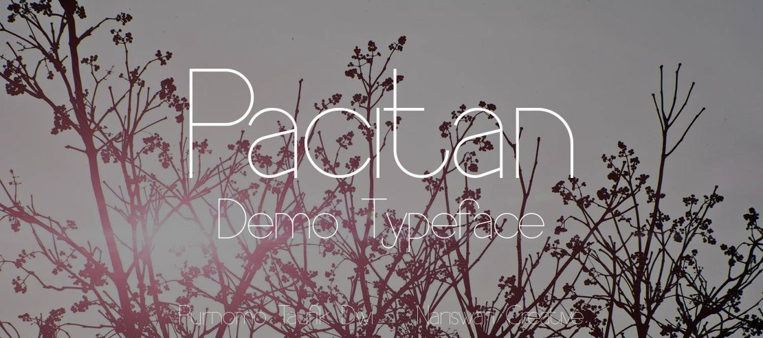 Pacitan Demo Font Family