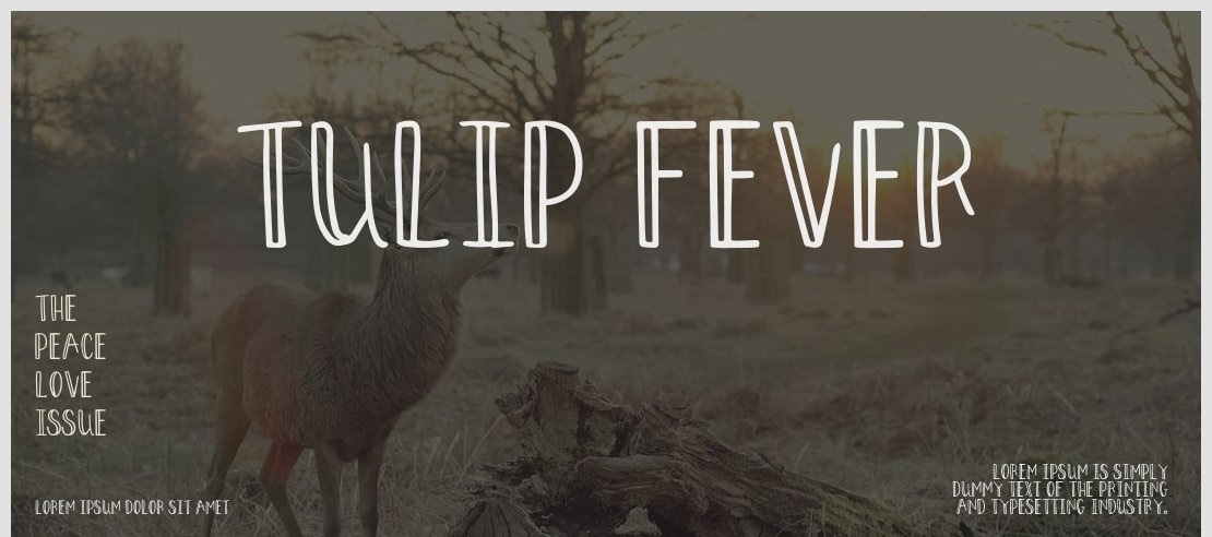 Tulip Fever Font