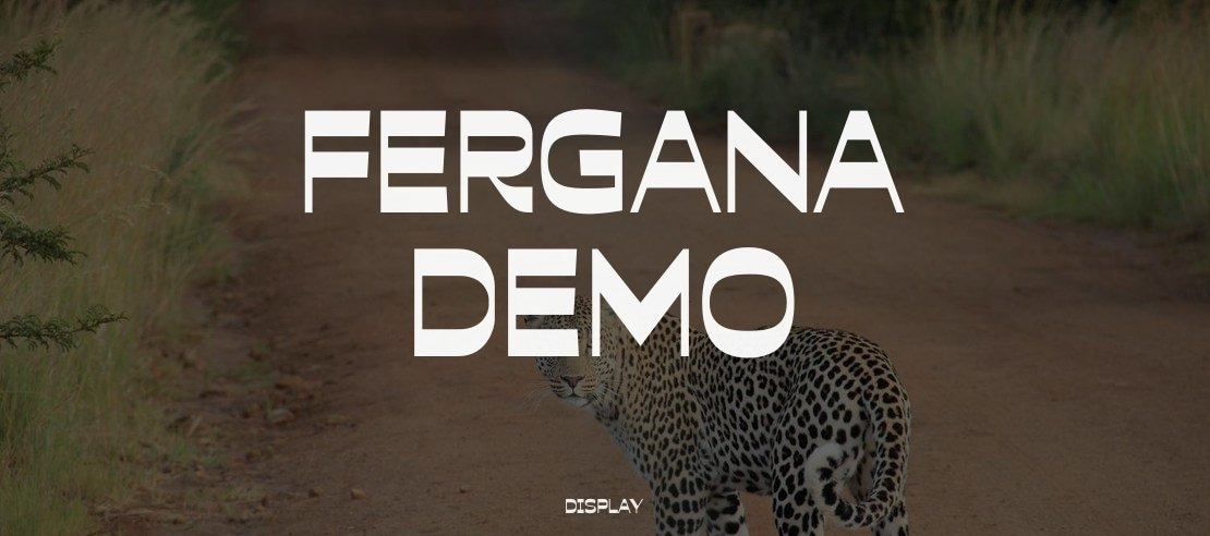 Fergana Demo Font