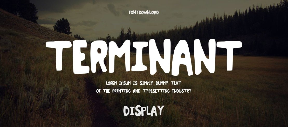 Terminant Font