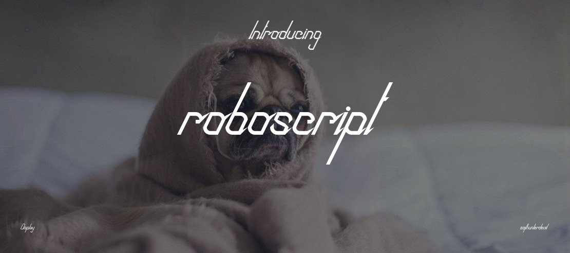 roboscript Font