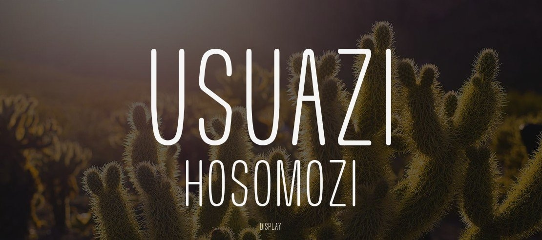 Usuazi Hosomozi Font