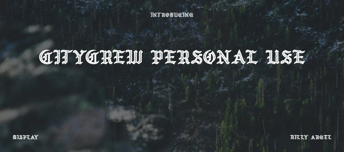 CITYCREW PERSONAL USE Font