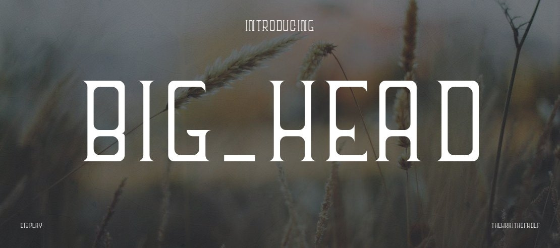 big_head Font