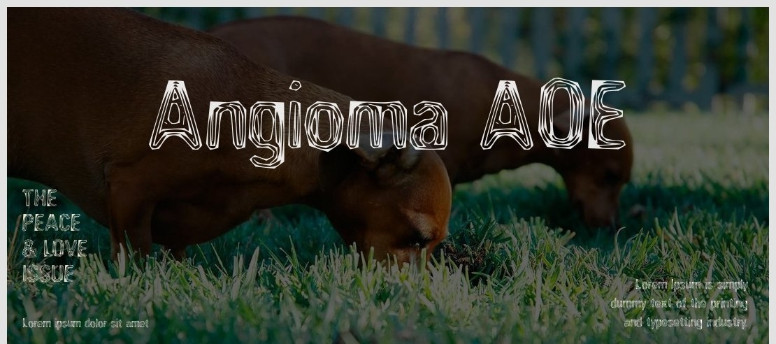 Angioma AOE Font