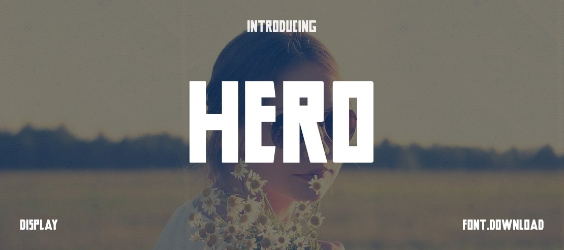 Hero Font Family