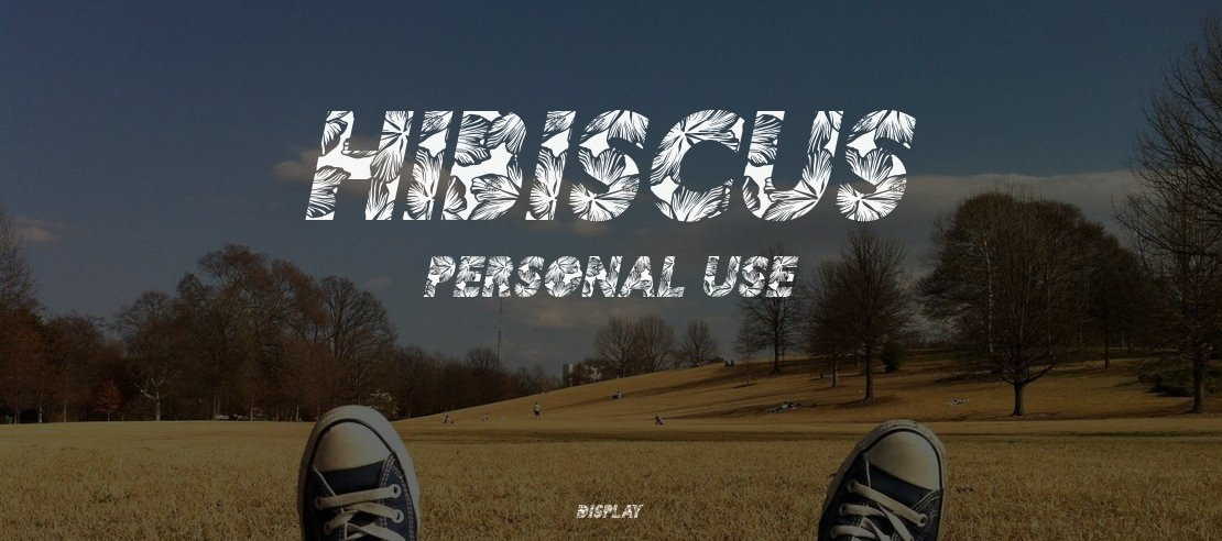 HIBISCUS  PERSONAL USE Font