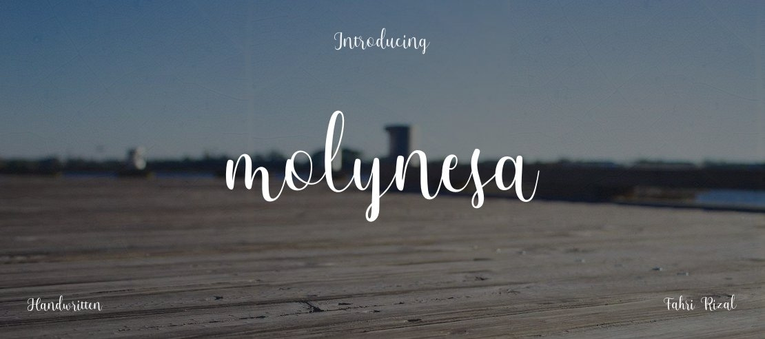 molynesa Font