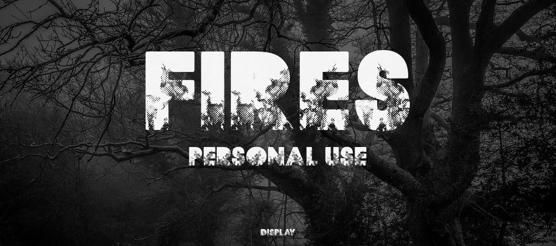 FIRES PERSONAL USE Font