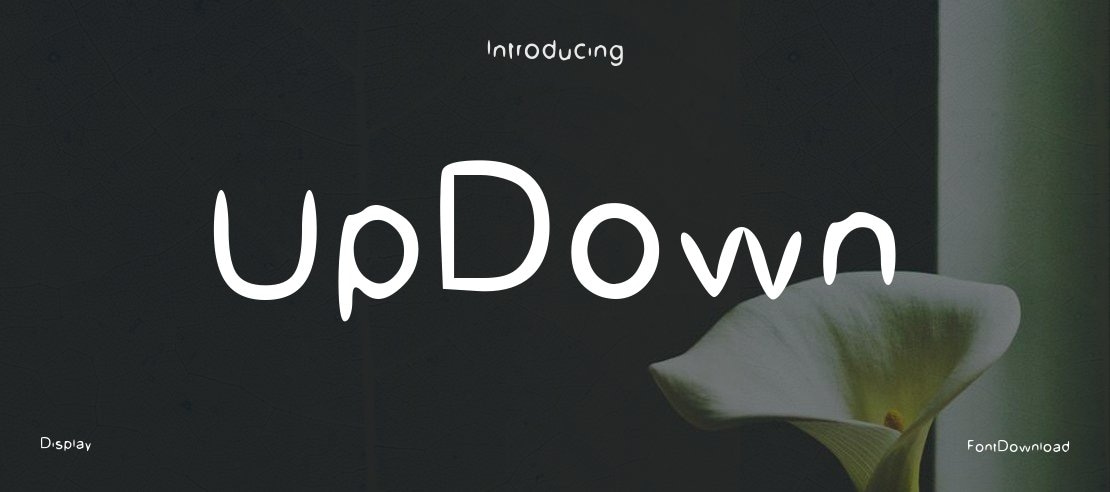 UpDown Font