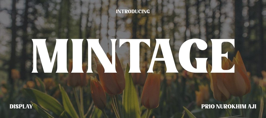 Mintage Font