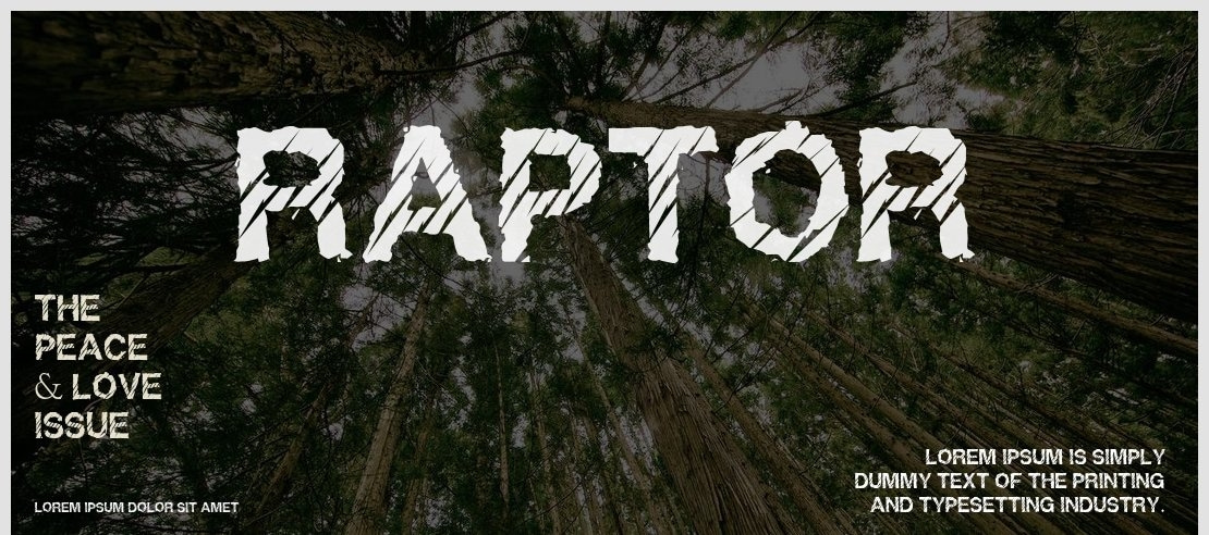 Raptor Font