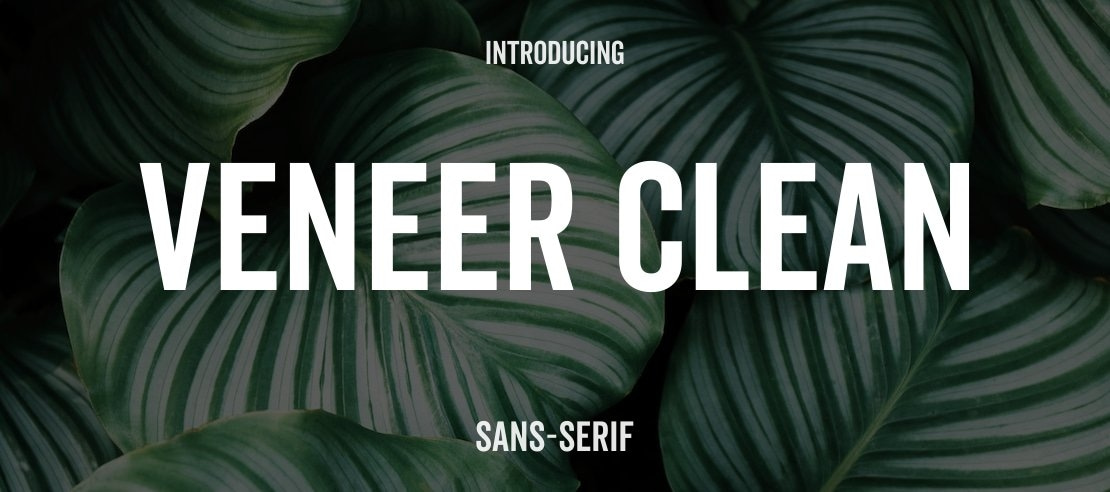 Veneer Clean Font Family