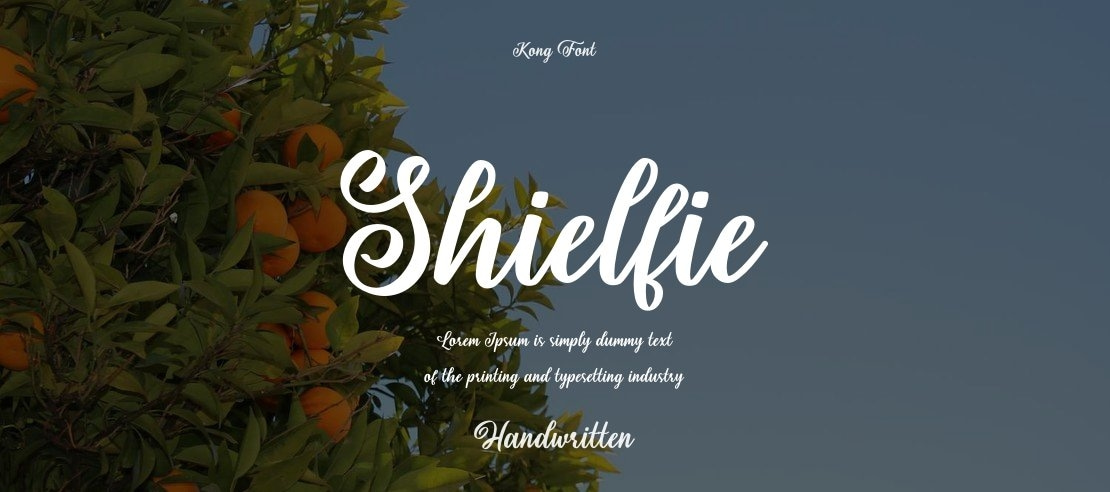 Shielfie Font Family