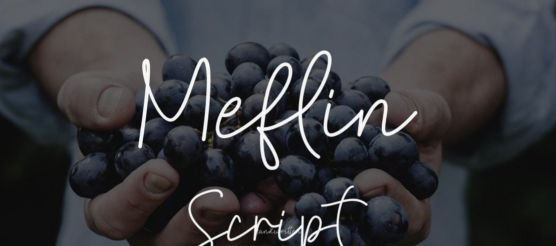 Meflin Script Font