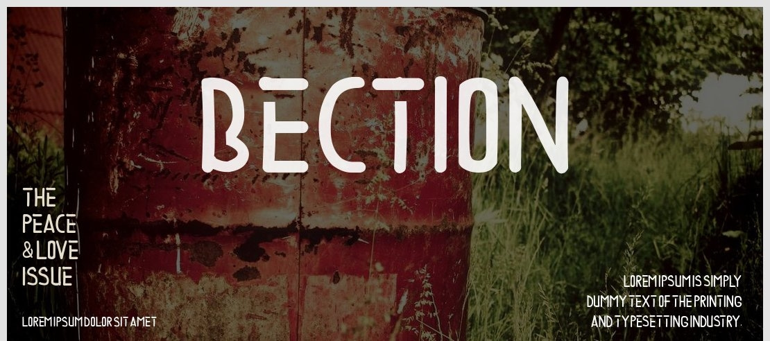 BECTION Font Family