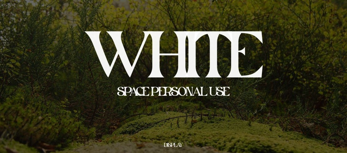 White Space personal use Font