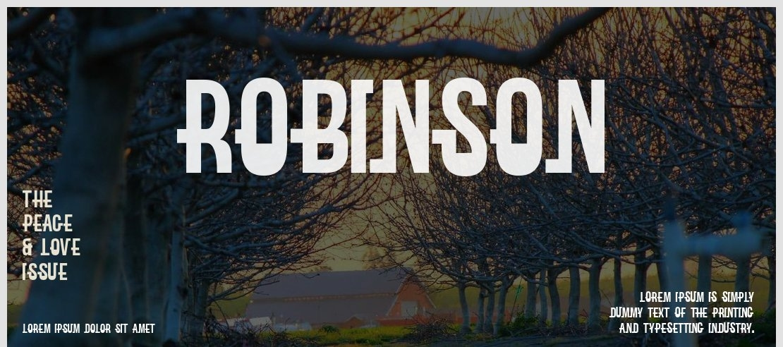 Robinson Font