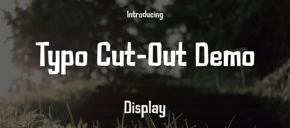 Typo Cut-Out Demo Font Family