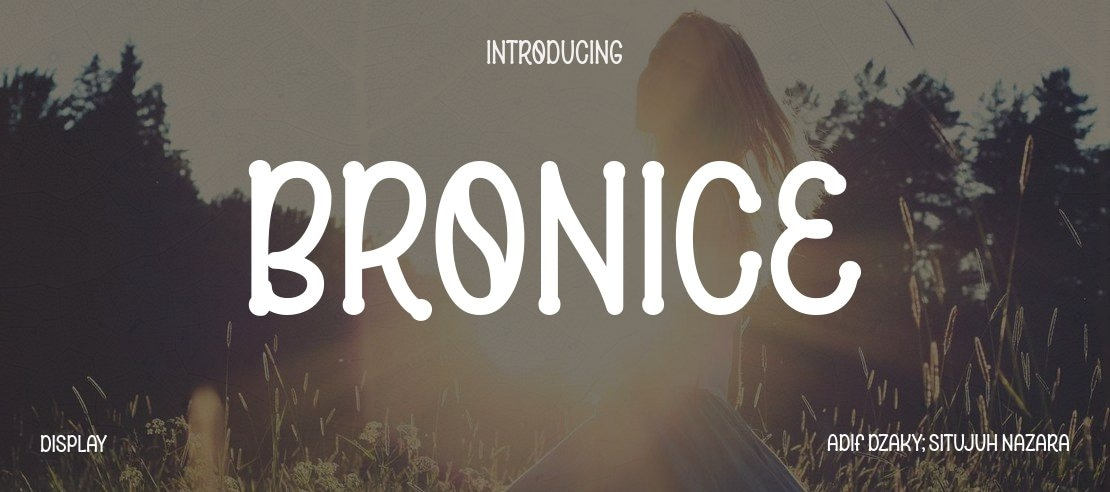 Bronice Font Family