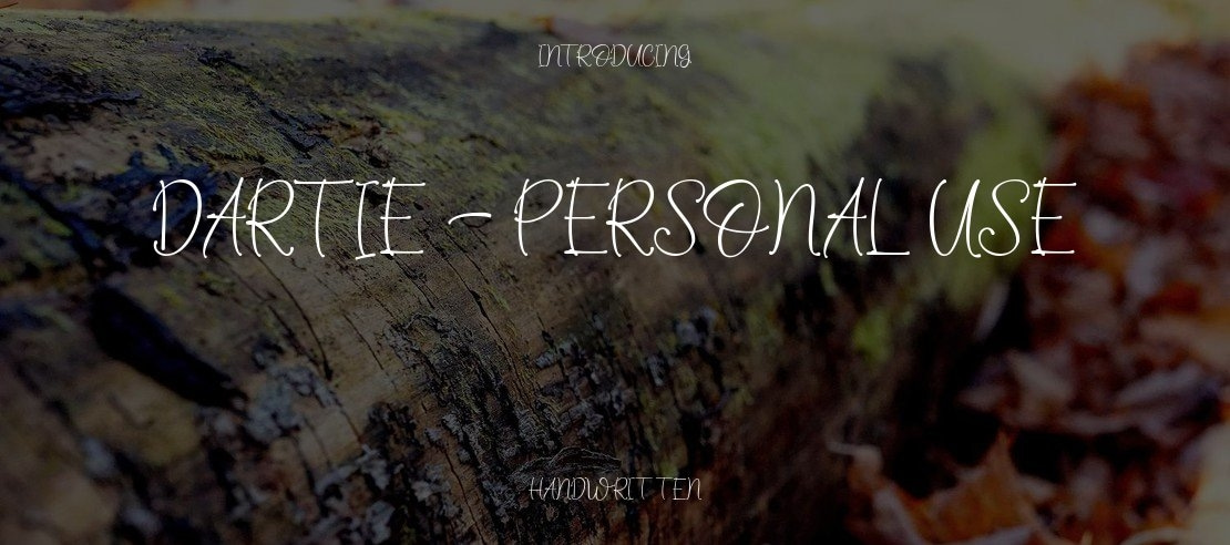 Dartie - Personal Use Font