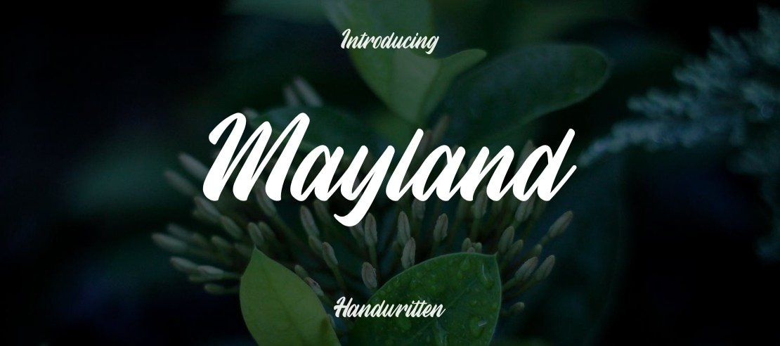 Mayland Font