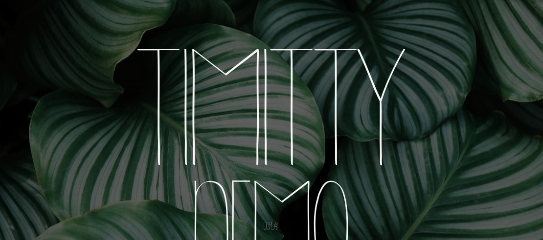 Timitty Demo Font