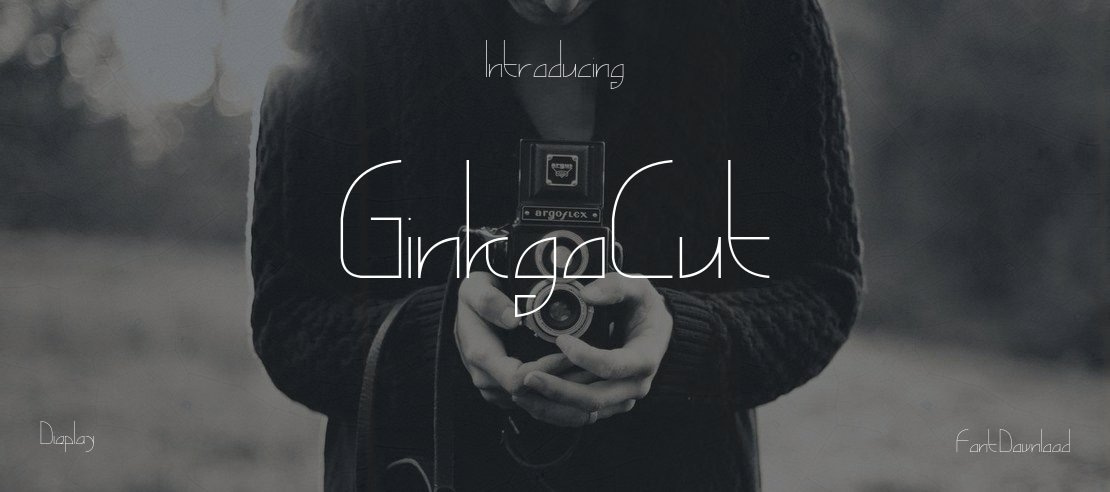 GinkgoCut Font