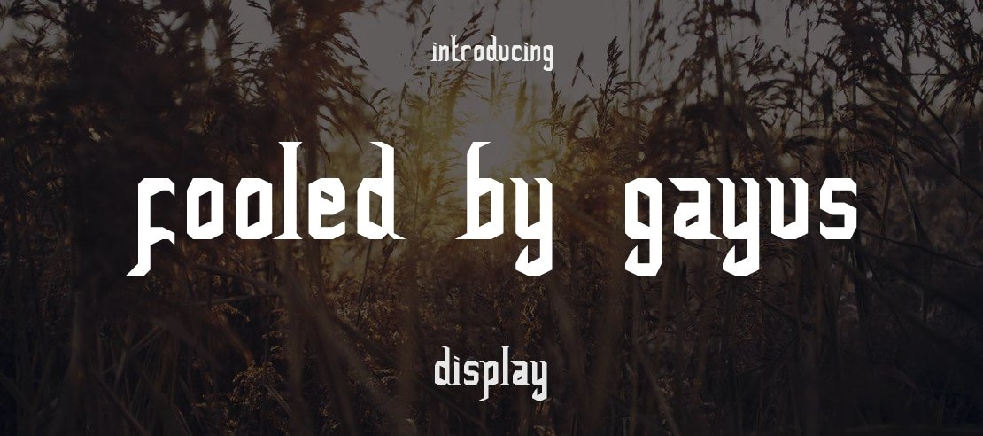 FoOleD bY GaYUs Font