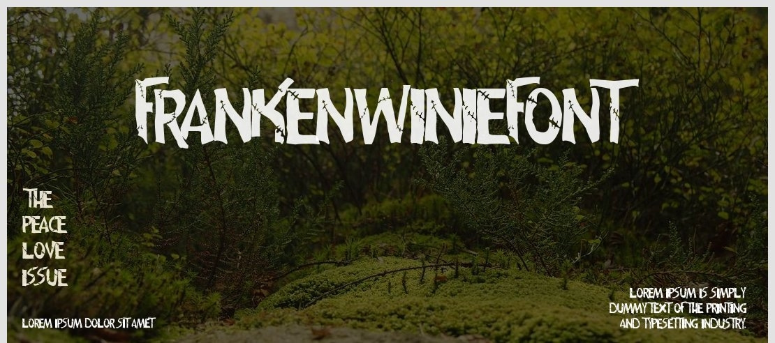 frankenwiniefont Font