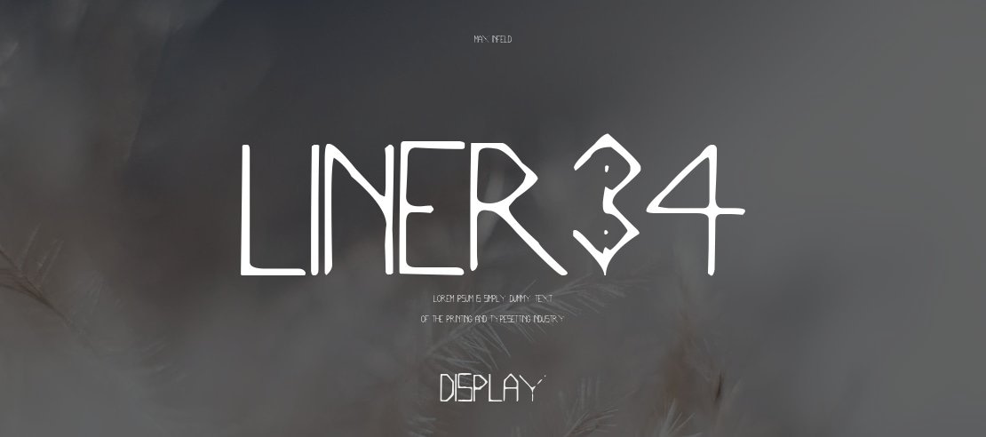 Liner34 Font