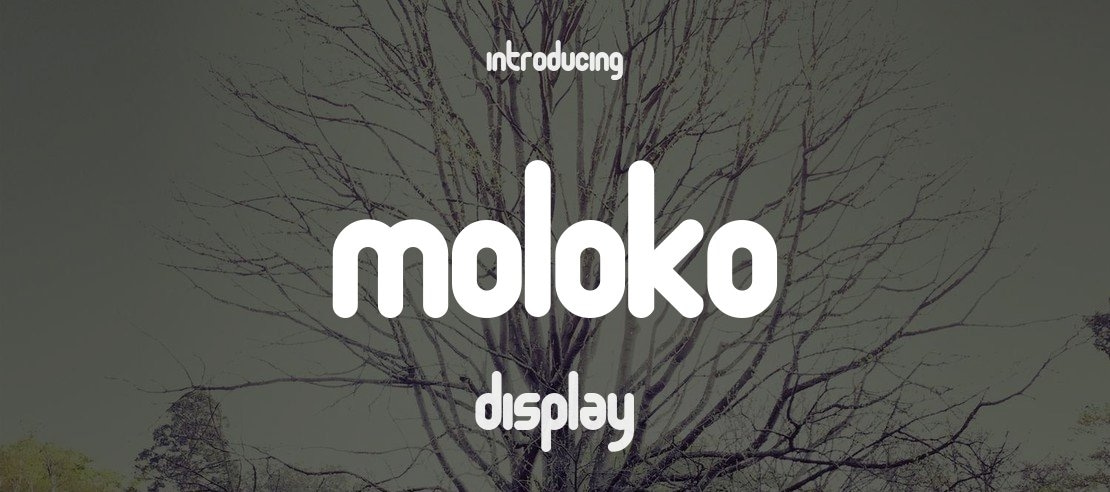 Moloko Font